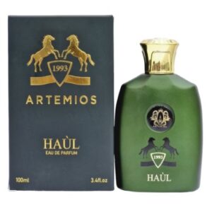 Artemios 1993 Haul eau de parfume for men 100ml